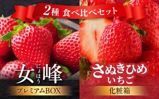 数量限定】厳選いちご2種 食べ比べセット |スイーツ いちご