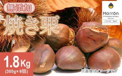 岩手県 天然無農薬 栗（大） 2.5kg