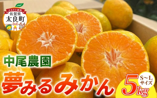 NA10x1 中尾農園の夢みるみかん（S-L）5kg 【2026年10月中旬~2027年1