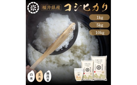 コシヒカリ　福井米　令和7年米　新米　15kg 無洗米 福井県産コシヒカリ 無洗米 15kg(5kg×3) 令和7年産｜無洗米福井