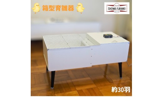 箱型育雛器(30羽) ヒヨコ 保育器 ひよこ 育雛器 育すう器 育雛ボックス