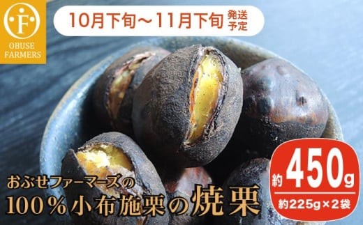 y쌧z{z 100z{ȈČI 450g mԂt@[}[Yn ʕ t[c I  ĂI 쌧Y MBY ߘa7NYy2025N10{`11{z mF-36n