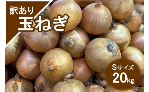 ykCkszyAzʂ˂ 20kg STCY ( kCY  ܂˂ 킯 )y009-0005z