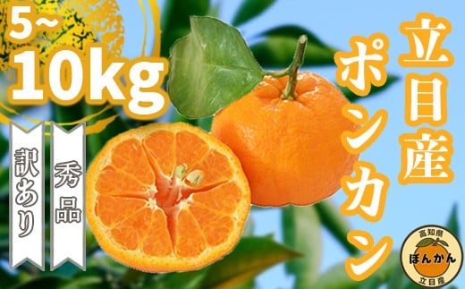 ym{szy\Jnz 2026N1{菇 |J 󂠂 Gi 5kg 10kg TCY ƒp p  uh ʕ t[c ~ k 2026N n ݂  fU[