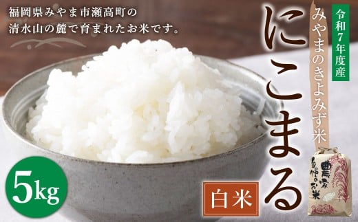 y݂܎szA285  ݂܂݂̂ ɂ܂ 5kgiāj y2025N11{菇\z    R ͂ uh Hi