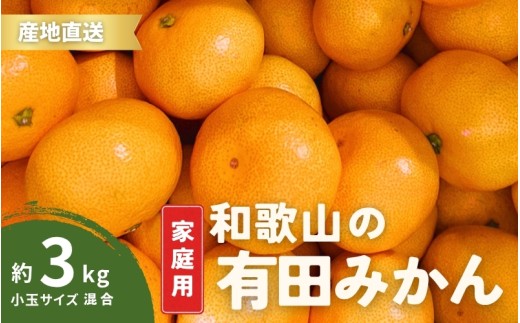 ya̎Rnz󂠂 ƒp Lc݂ a̎R (2S,3STCY) 3kg y10{`1{ɏ\z/ ݂ t[c ʕ  Lc݂  kyktn009z