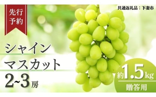 y錧vszs s\ t VC}XJbg 2`3[ (  1.5kg )  p y2026N8{Jnz ( ʕԗiFȎs ) t[c ʕ }XJbg Ԃǂ  uhE { Y Y