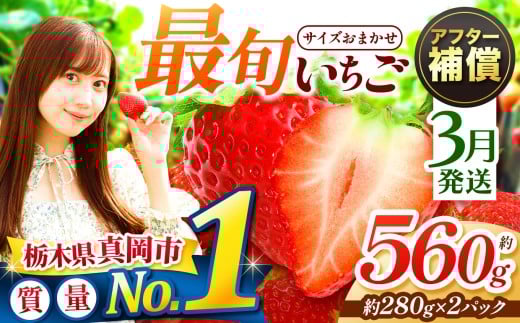 yȖ،^szy3zlCI ŏ{Ƃ 560g 2pbN  | 1 2 3   v[g | Y { ʕ t[c  C`S 2026N V[Y st