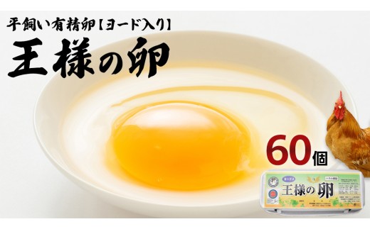 y錧vszl̗ [h 60 (55+ۏ5 )  n{ L Z  藑 ܂