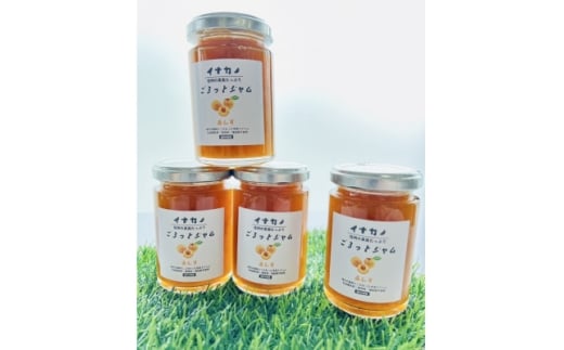 y쌧szCiJm@ƃW@񂸁@140g×4{ZbgMB쁄y1625402z