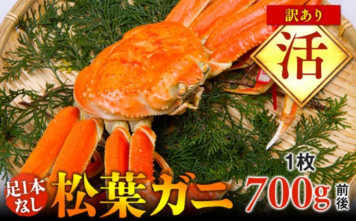 y挧khzyz1{Ȃ󂠂菼tKj@1i700gOjywsz2025N11{`2026N3{ɏ\s Jj It