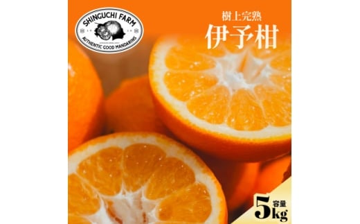 yQlszžb݂MbƋÏkɗ\5kg QYD70-12y1470715z