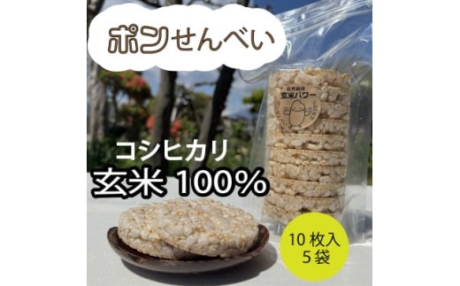 y쌧szޗEĂ̂݁Ɛ100%gp |ׂ(105܃Zbg)y1620052z