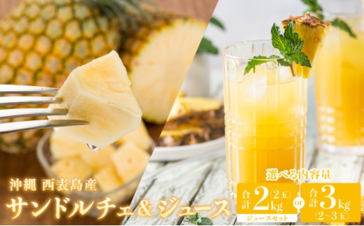 yꌧ|xzIׂeʁ2026N s\ nNTh`F(R) 3kg(2`3) / nNTh`F(R)2s(2)ƊÂƋlߍ100pCibvW[X1{ bpC ʕ t