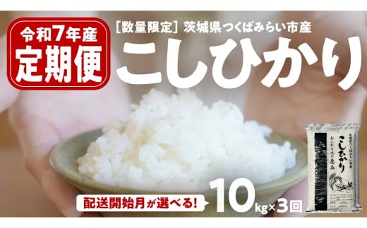 y錧΂݂炢sz_ VĐs\ ^y ցi4`6oׁjz RVqJ 10kg ×3 ߘa7NY y ʌ z錧΂݂炢sY  R P 錧Y Y  RX