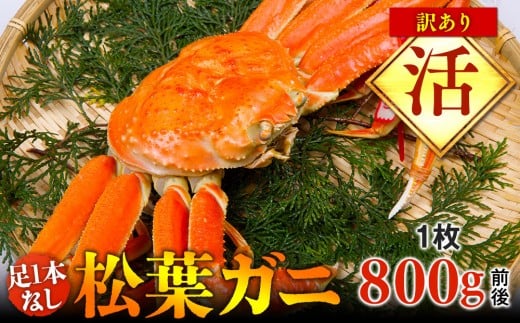 y挧khzyz1{Ȃ@󂠂@tKj@1i800gOjywsz2025N11{`2026N3{ɏ\s Jj It