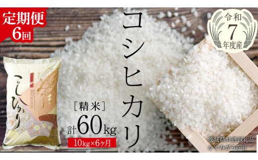 y錧szy 6  zy ߘa7NY z RVqJ  10kg ( 10kg × 1 ) × 6 ( v 60kg )i錧ʕԗi݂sjV  ͂  Â R   