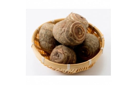 yxRszuꕶ̗v10kgy1682108z