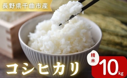 y쌧Ȏszߘa7NYRVqJ10kgb RVqJ    Ȏs 쌧 MB