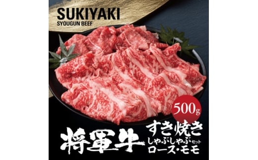 yRÎRszRIĂԂԃZbg [X  2 500gy1653543z