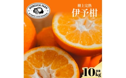 yQlszžb݂MbƋÏkɗ\10kg QYG70-13y1470714z