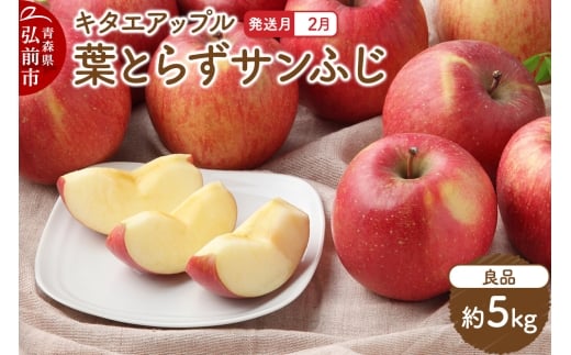 yXOOszy26N2z t炸TӂyǕiz5kg L^GAbv