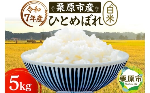 y{錧Iszsߘa7NYtyāzIsY ЂƂ߂ڂ 5kg  uh V_Y {錧 Is