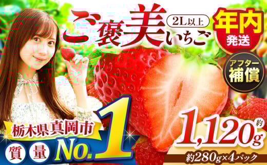 yȖ،^szy11`12zꗱґI JƂ 2Lȏ 1120g 280g×4pbN  | N   v[g | Y { ʕ t[c  C`S 25/26