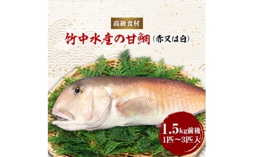 yQlsz|ÝuÑ(Ԗ͔)1.5LOvH22-261_  ^C  Ñ N VR   CN ①  Q l Y Yn Y  O y1075513z