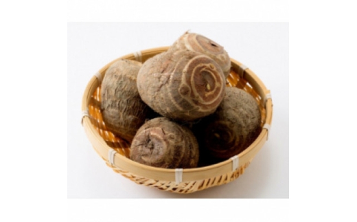 yxRszTCYuꕶ̗v2.8kgy1682110z