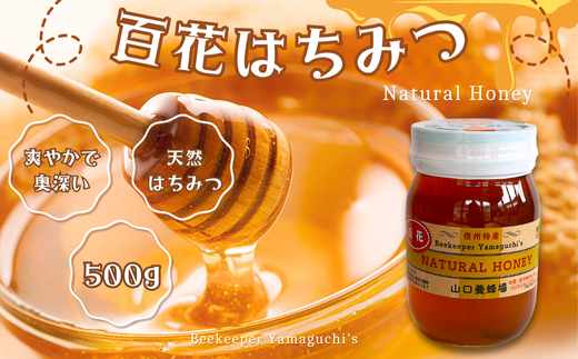 y쌧v䒬zMBYIIuY@VR SԂ݂͂v500 [YY-102-2]