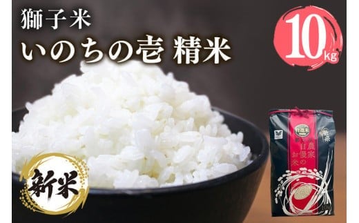 y錧Ήszy2zq ̂̈  10kg ct@[ ReXgܕ     uh 10L Y Pꌴ R    錧Y  Y