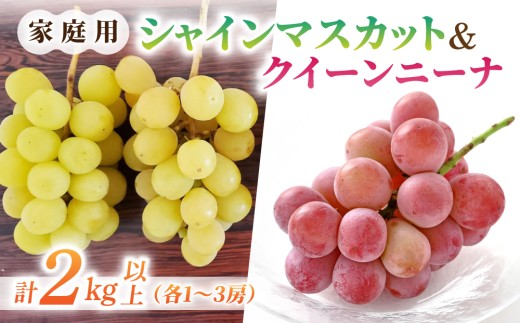 y쌧szyst2026NzƒpVC}XJbgNC[j[i@v2kgȏie1`3[jbƂ̂݉ʎ2026N9{`10{