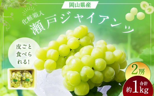 yR璬z˃WCAc 2[ i1[480gȏj v1kg ϔ y2026N9{`10{܂Ŕ\z ^ }XJbg  Ԃǂ ʕ ʎ t[c 炲 R 璬