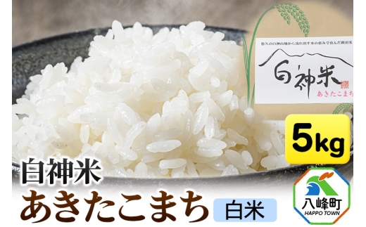 yHcz_ ܂ HcY 5kgyāzߘa7NY