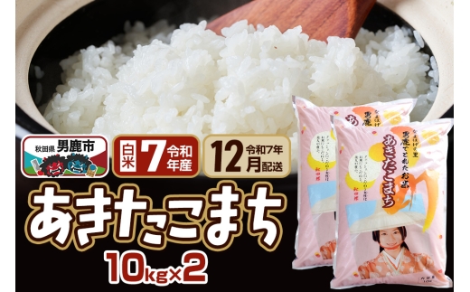 yHcjszyR7N12͂z܂  20kg(10kg×2) Ȃ܂̗͂ HcjsY 쏤X 