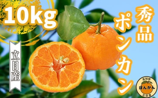 ym{szy\Jnz 2026N1{菇 |J  Gi p 10kg TCY ~ t[c ʕ ڎY uh k 2026N n  ݂ Mtg  v