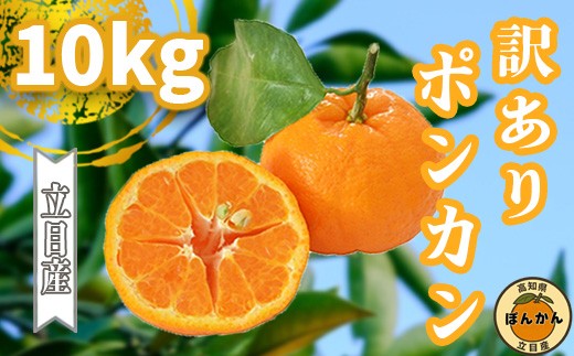 ym{szy\Jnz 2026N1{菇 |J 󂠂 10kg TCY ƒp  uh ʕ t[c ~ k 2026N n ݂  fU[g m {