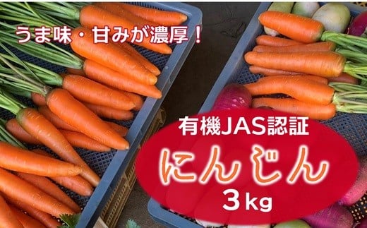 y啪Pnsz ???܂?ZȂɂ񂶂iRsj