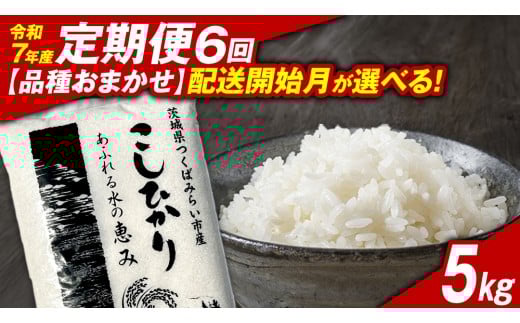 y錧΂݂炢szy ցi12`5oׁjz錧΂݂炢sY  i킨܂ 5kg ×6 ߘa7NY  Ђ  R  P  錧Y Y   