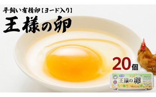 y錧vszl̗ [h 20 (15+ۏ5 )  n{ L Z  藑 ܂