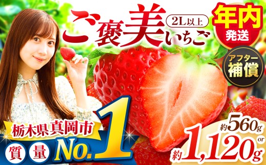 yȖ،^szꗱґI JƂ 2Lȏ EeʂIׂ  | N 1 2 3   v[g | Y { ʕ t[c  C`S 25/26N