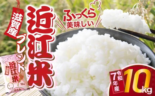 yꌧߍ]szߍ]uh 10kg         Y ͂      ăSn LO lC RXp   ֗ u