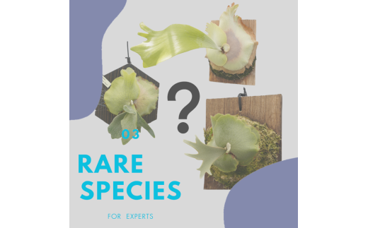 yɌO؎szAi rJNV_ti_ZNgj