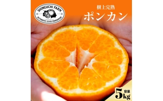 yQlszÖƎ_̃oX▭|J 5kg QYD70-24y1470666z