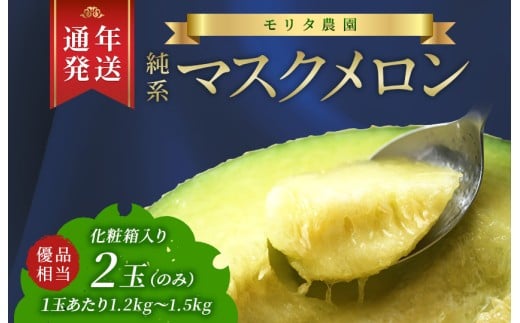 ytxÎszyʔN͔|zn}XNQʁiϔjySz@}XN  t[c ʕ N ʔN 2026N   Iׂ  p D 