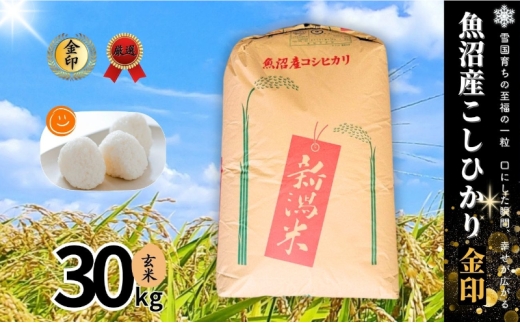 yV\szyߘa7NYzYRVqJ()30kg   Ђ   V \s