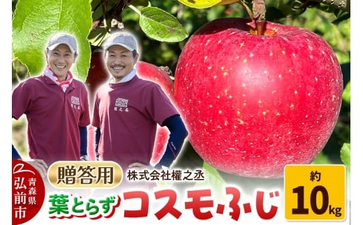 yXOOszy25N11oׁz ܔV tƂ炸 RXӂ p 10kgyOOsYEX񂲁z