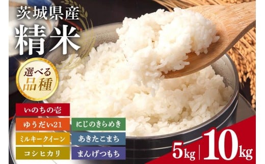 y錧Ήsz錧Y   iEeʁEIׂ 1`3 5kg 10kg RVqJ ܂ ~L[NC[ ɂ̂߂ ̂̈ 䂤21 ܂񂰂 