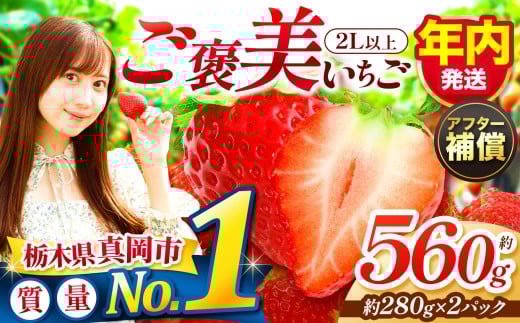 yȖ،^szy11`12zꗱґI JƂ 2Lȏ 560g 280g×2pbN  | N    v[g | Y { ʕ t[c  C`S 25/26N